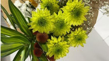 Crisântemos em close