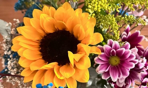 Flores do campo em vaso